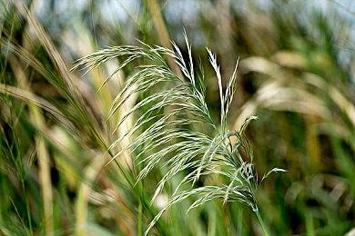 《半条命》modBrutal Half-Life新V3版发布 更加暴力化