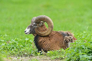 传闻称《战神》新作将探索埃及神话